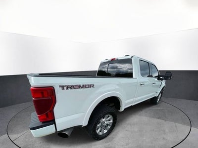 2022 Ford F-250 Platinum